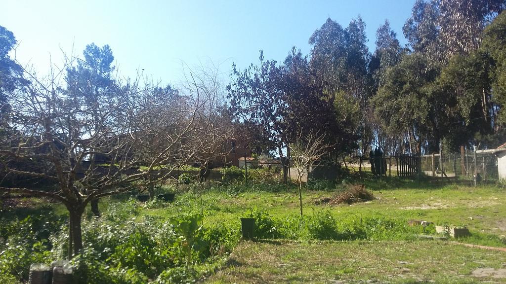 Vila Ecobosque Nadadouro Exteriér fotografie