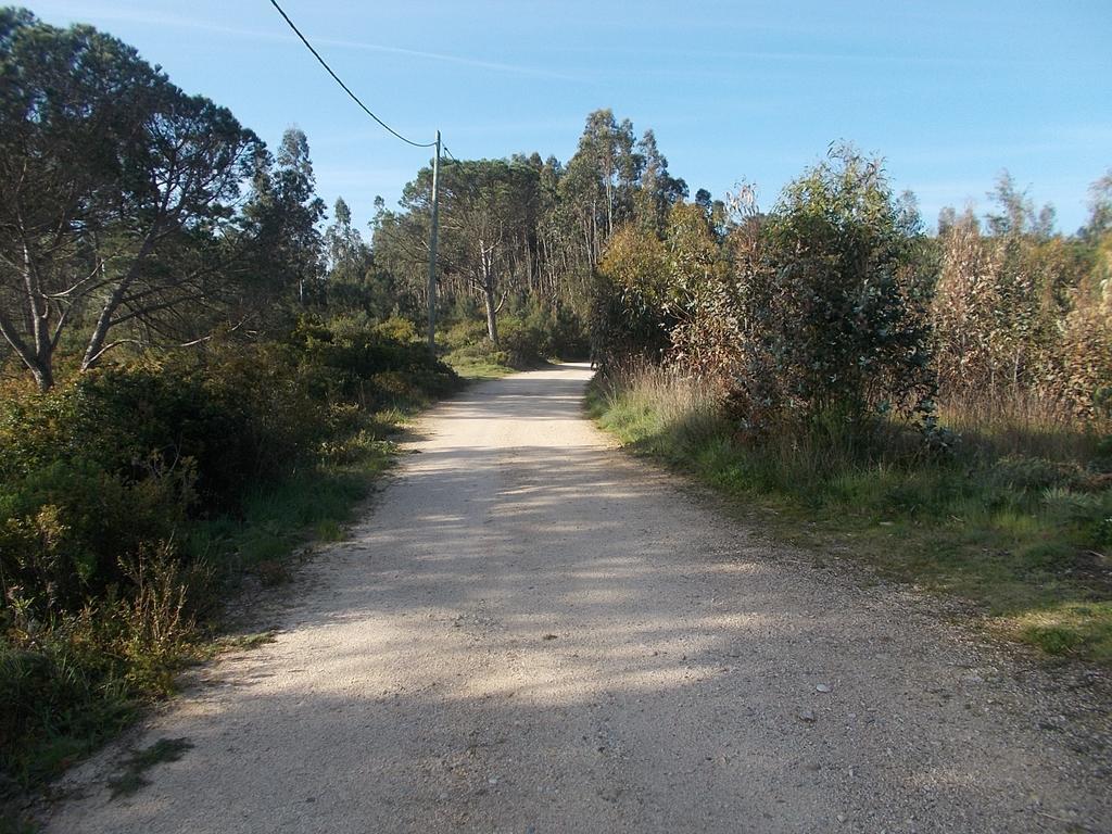 Vila Ecobosque Nadadouro Exteriér fotografie