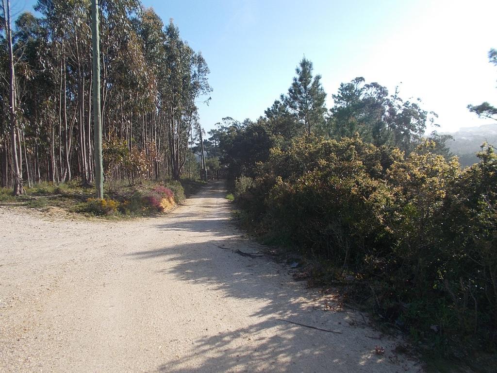 Vila Ecobosque Nadadouro Exteriér fotografie