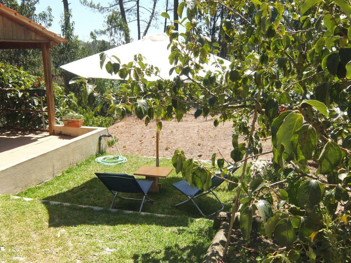 Vila Ecobosque Nadadouro Exteriér fotografie
